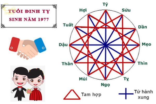 Tuổi Đinh Tỵ 1977 hợp - khắc tuổi nào?
