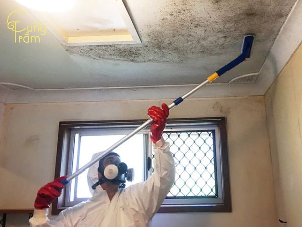 cách-khử-mùi-hôi-phòng-bằng-xử-lý-các-mảng-tưởng-mốc