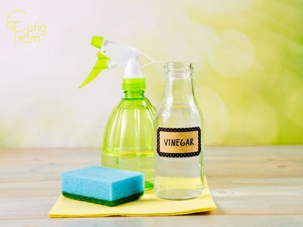 cách-khử-mùi-hôi-phòng-bằng-giấm-trắng