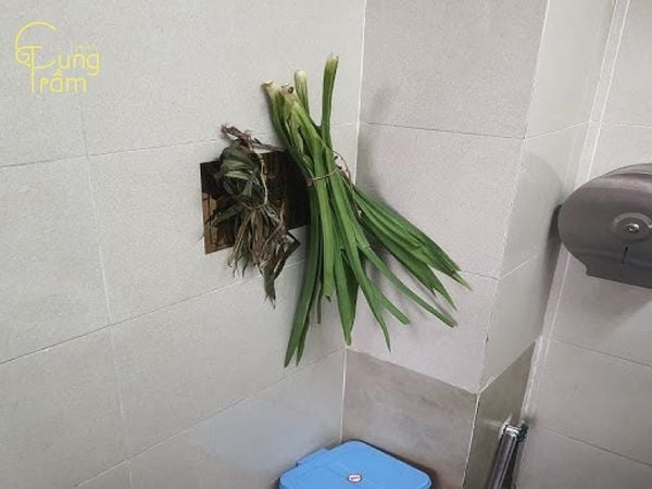 cách-khử-mùi-hôi-phòng-bằng-lá-dứa-lá-nếp