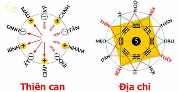 Tân Tỵ 2001 hợp với tuổi nào trong làm ăn, kinh doanh và hôn nhân?