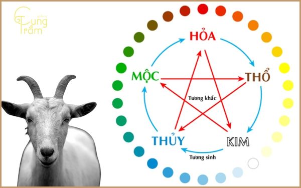 Sinh hành tương sinh - tương khắc của người sinh năm 2003