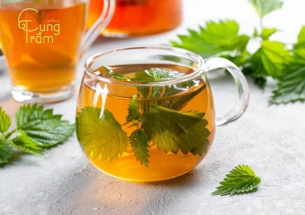 Trà tía tô đất
