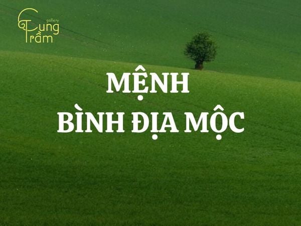 Sinh năm 2019 mệnh gì, cung gì?
