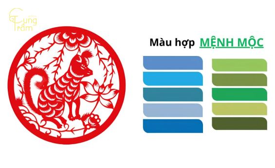 Tuổi Mậu Tuất 2018 hợp màu gì?