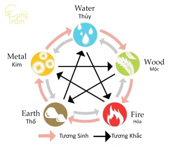Sinh năm 2008 - Mậu Tý hợp với tuổi nào, khắc tuổi nào?