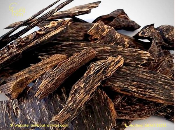 Đặc điểm nổi bật của trầm hương Philippines