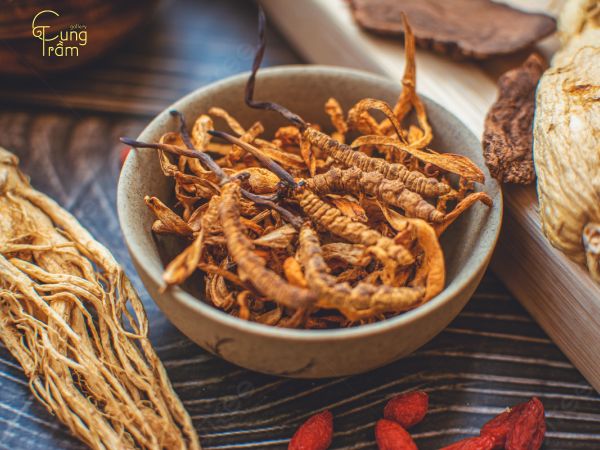 Đông trùng hạ thảo