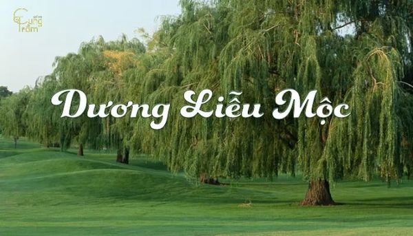 mệnh dương liễu mộc