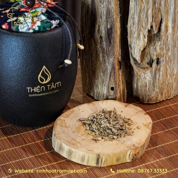 Mua trà trầm hương tại Tây Hồ ở đâu uy tín nhất