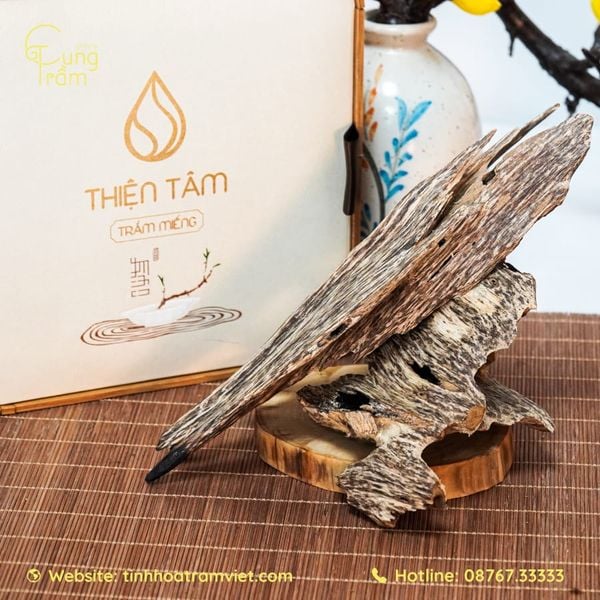 Nắm bắt ngay cách chọn mua trầm hương miếng hiệu quả tại Thái Bình