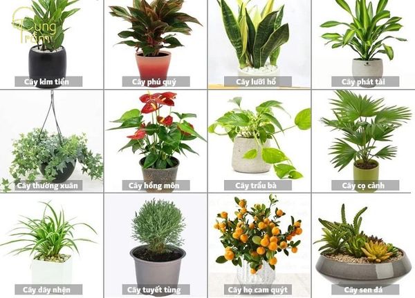 quà tặng kỷ niệm ngày mới quen