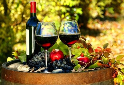 Khám phá quy trình sản xuất rượu vang bên trong các nhà máy sản xuất