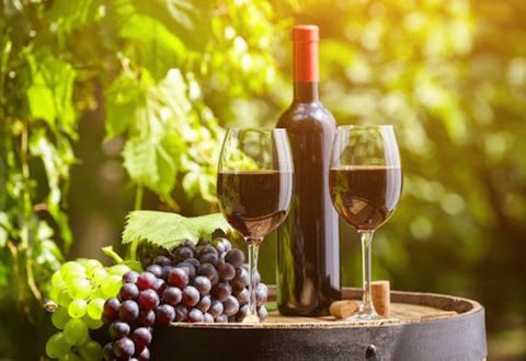 Các loại nho cao cấp để làm rượu vang phổ biến nhất trên thế giới