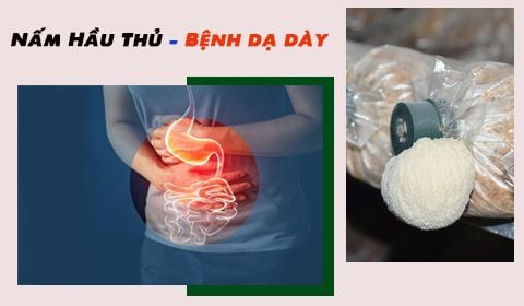 Sử Dụng Nấm Hầu Thủ - 