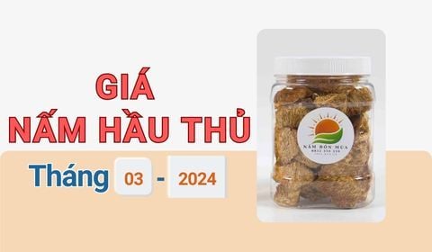 Cập Nhật Giá Nấm Đầu Khỉ Sấy Khô  Hiện Tại: Tháng 3 - 2024