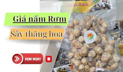 Tổng Hợp Bảng Giá Nấm Rơm Hôm Nay - Giá Đủ Loại, Tìm Hiểu Ngay