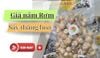 Tổng Hợp Bảng Giá Nấm Rơm Hôm Nay - Giá Đủ Loại, Tìm Hiểu Ngay