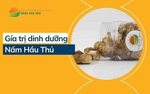 Dinh Dưỡng Nấm Hầu Thủ: Cao Lương Mỹ Vị Dành Cho Vua Chúa
