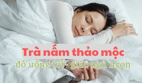 Trà nấm thảo mộc - Đồ uống hỗ trợ trị mất ngủ hiệu quả