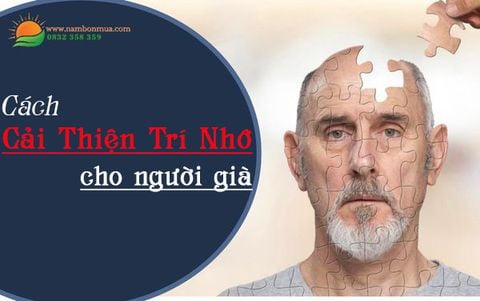Cải Thiện Trí Nhớ Tự Nhiên Cho Người Cao Tuổi Bằng Nấm Dược Liệu