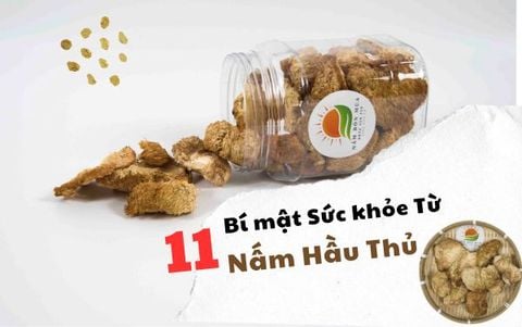 11 Bí Mật Sức Khỏe Từ Nấm Hầu Thủ: Vị Thuốc Quý Từ Thiên Nhiên