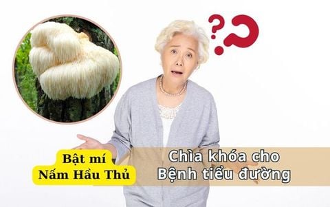 Bí Mật Nấm Hầu Thủ: Chìa Khóa Cho Bệnh Tiểu Đường Hay Lời Hứa Hão?
