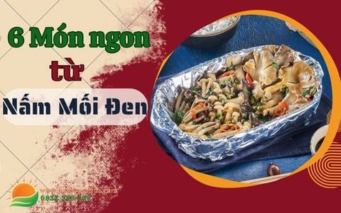 Bí Quyết Chế Biến 6 Món Ngon Nấm Mối Đen Thơm Ngon, Bổ Dưỡng