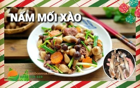 Nấm Mối Đen Xào Gì Ngon? Top 7 Món Nấm Mối Đen Xào Ăn Cực “Bá Cháy”