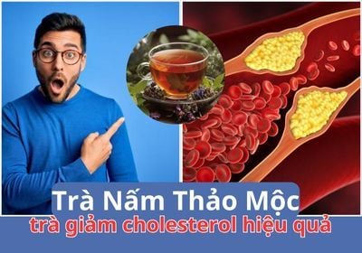 Hạ Mỡ Máu Hiệu Quả Chỉ Với 4 Loại Trà Nấm Thảo Mộc Này!