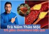 Hạ Mỡ Máu Hiệu Quả Chỉ Với 4 Loại Trà Nấm Thảo Mộc Này!