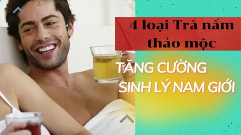4 Trà Nấm Thảo Mộc Tăng Cường Sinh Lý Nam Mạnh Mẽ