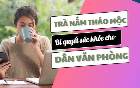 5 Lợi ích - 3 Ưu điểm của Trà nấm thảo mộc cho Dân văn phòng