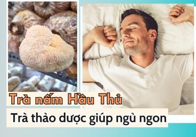 Trà nấm Hầu Thủ - 