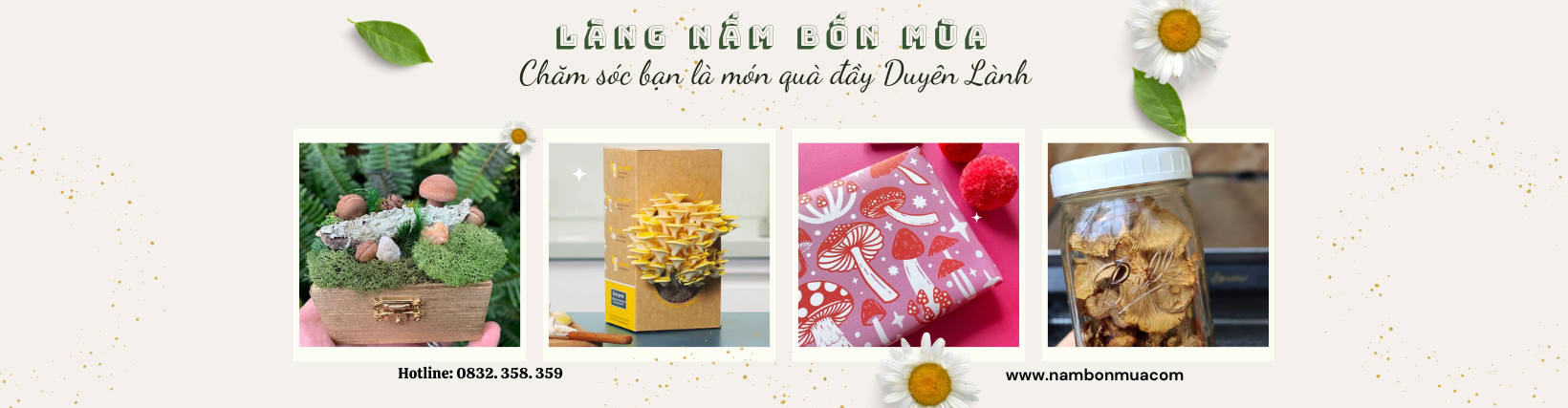 Hộp Qùa Nấm Cao Cấp