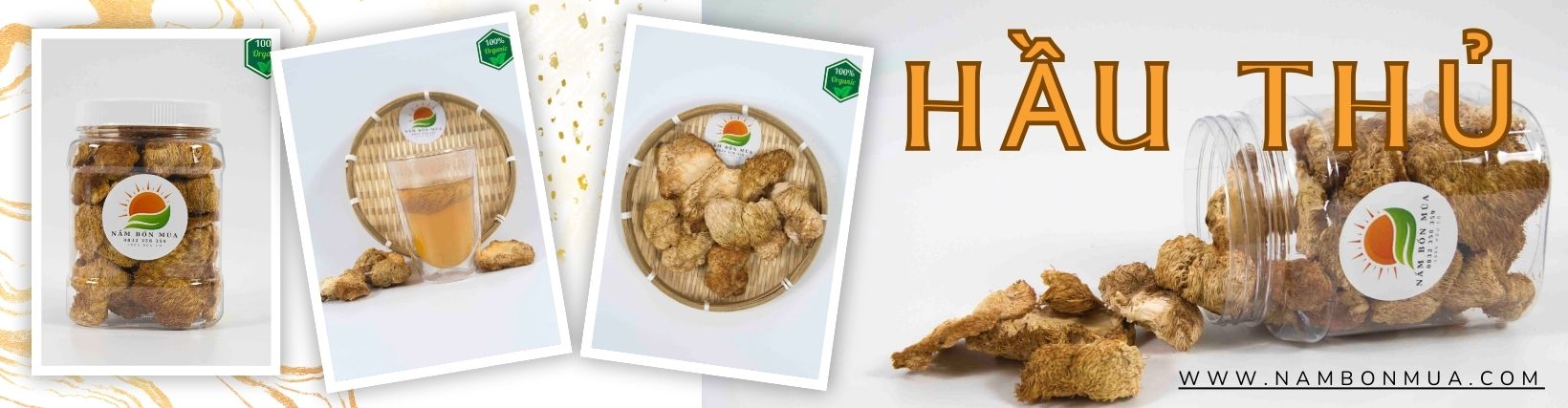 Nấm Hầu Thủ khô | Nấm Đầu Khỉ sấy thăng hoa