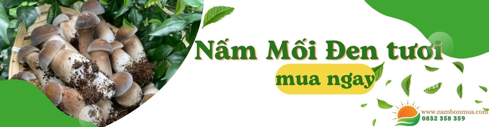 Mua Nấm Mối Đen