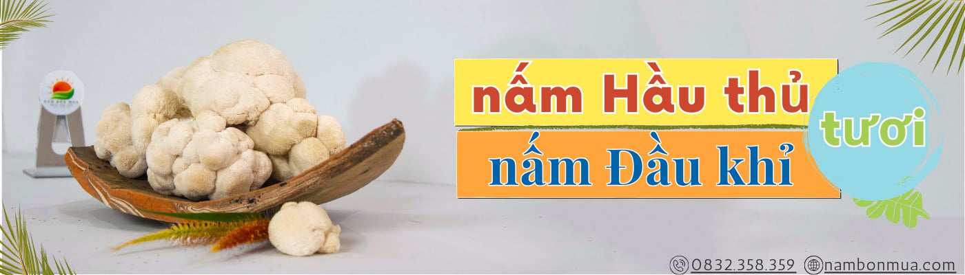 Nấm Hầu Thủ tươi