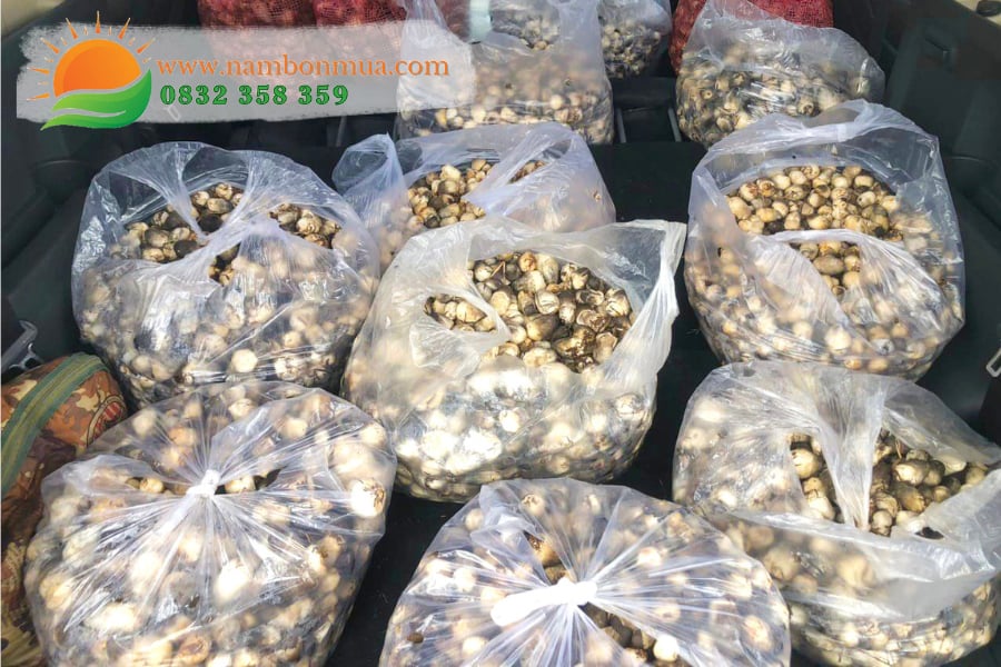Huong dan cach bao quan nam Rom tuoi, ngon, tai nha.