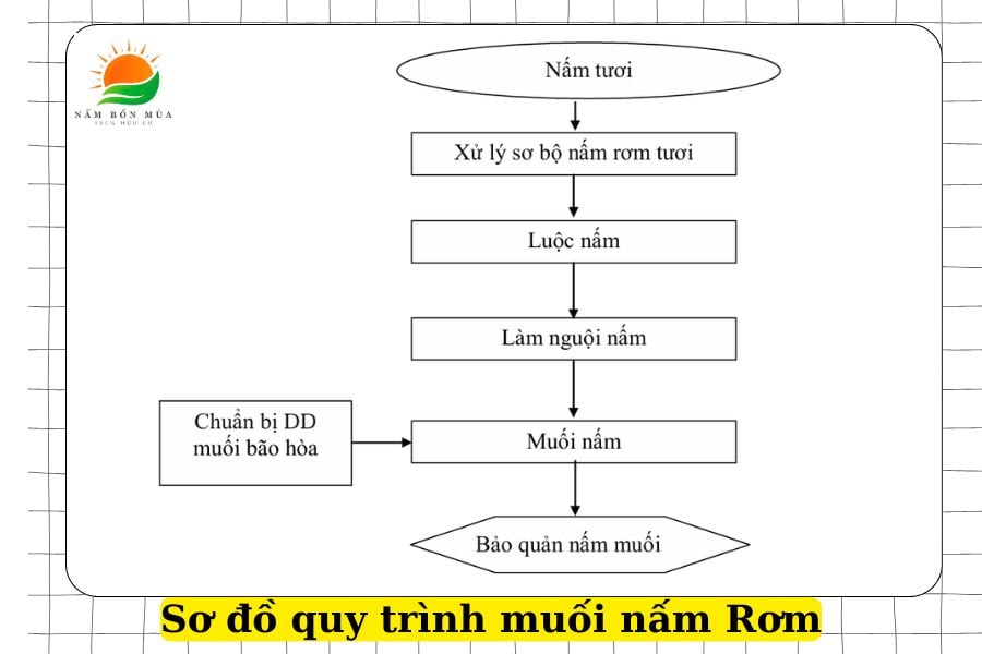 Huong dan cach bao quan nam Rom tuoi, ngon, don gian tai nha.