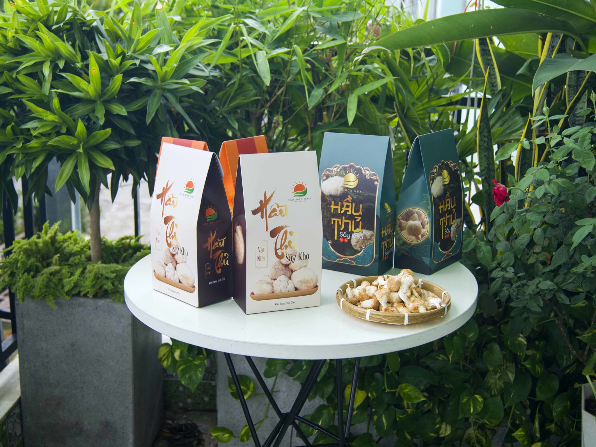 nấm Hầu Thủ sấy khô - vạn niên chất lượng cao của Làng nấm Bốn Mùa.