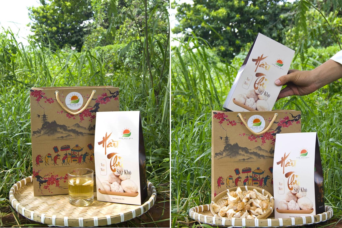 Nấm Bốn Mùa là địa chỉ mua bán nấm Hầu thủ khô Vạn niên tại thành phố hồ chí minh.