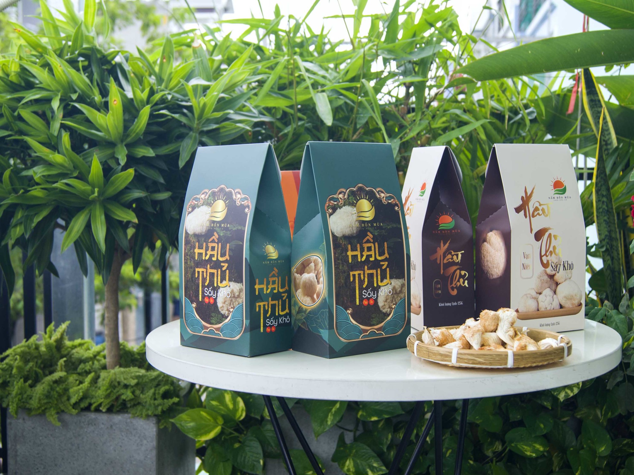 mua nấm Đầu khỉ sấy khô - Phúc của Làng nấm Bốn Mùa tại TPHCM.