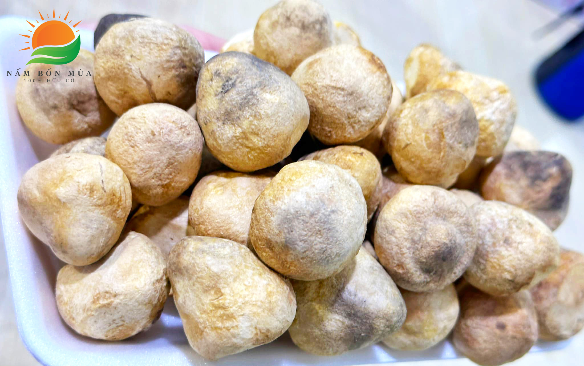 Lang nam Bon Mua mua ban Nam Rom say kho chat luong cao.