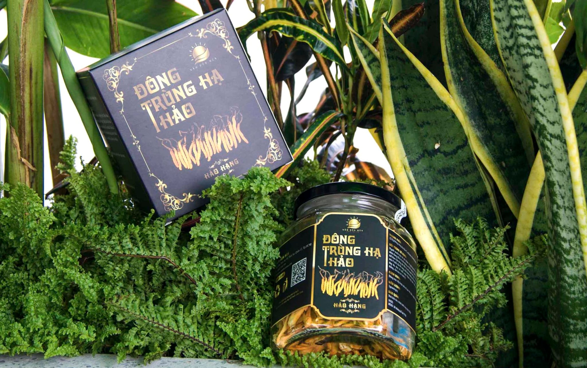 Lang nam Bon Mua ban nam Dong trung ha thao chat luong cao o tphcm.