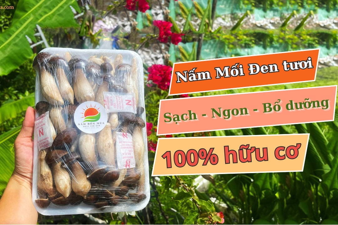 Nam Moi den chat luong cao, gia tot, an toan, ve sinh tai tphcm.