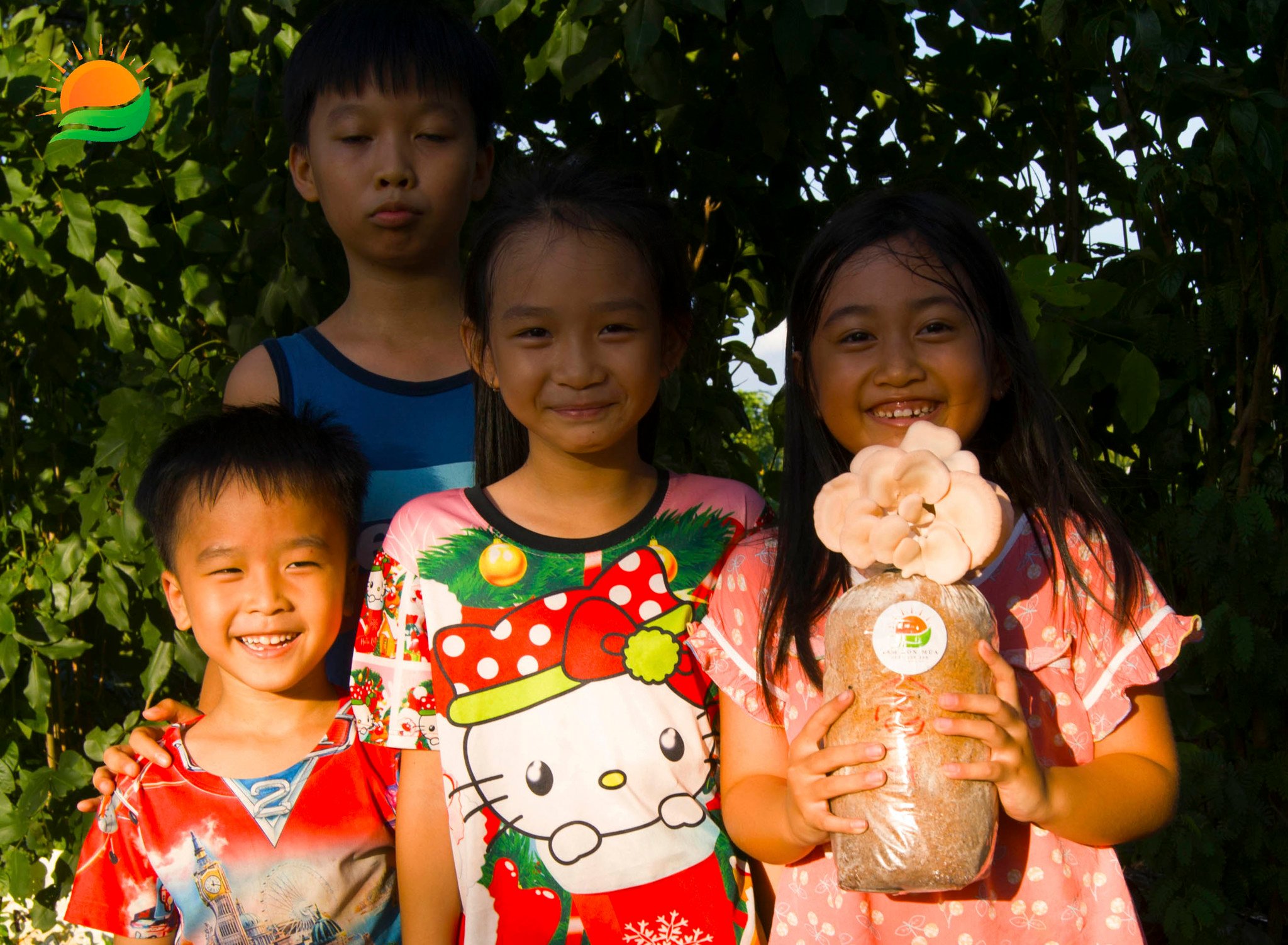 làm phôi nấm Hồng Ngọc và nguyên liệu sản xuất phôi nấm Hồng Ngọc tại Làng Nấm Bốn Mùa uy tín, chất lượng