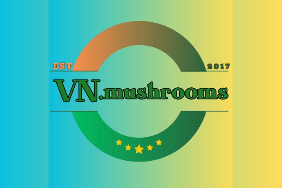 Logo thuong hieu VNmushrooms Farm.