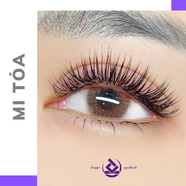 Mi lông chồn là loại mi được làm từ lông con chồn, bề ngoài rất giống mi tự nhiên