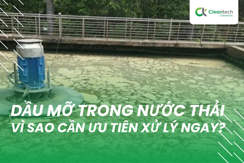 Dầu mỡ trong nước thải: Vì sao cần ưu tiên xử lý ngay?